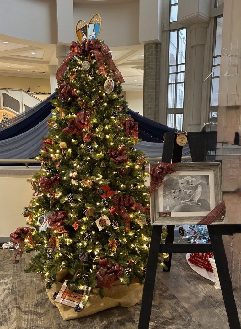 FEFNA's Christmas Tree